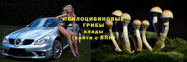 дмт Алексеевка