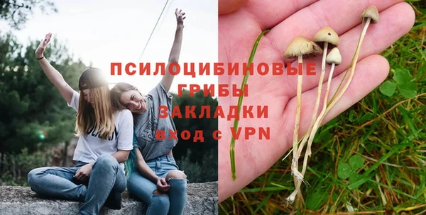 прущая мука Абдулино
