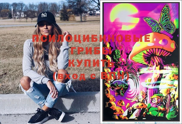 соль ск Алексин