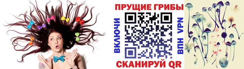 OMG зеркало  Прохладный  Псилоцибиновые грибы прущие грибы 