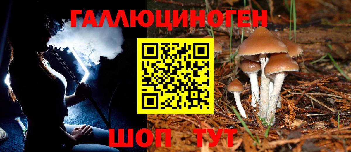 Галлюциногенные грибы Magic Shrooms  цена наркотик  Прохладный  Вход с VPN  Галлюциногенные грибы GOLDEN TEACHER 
