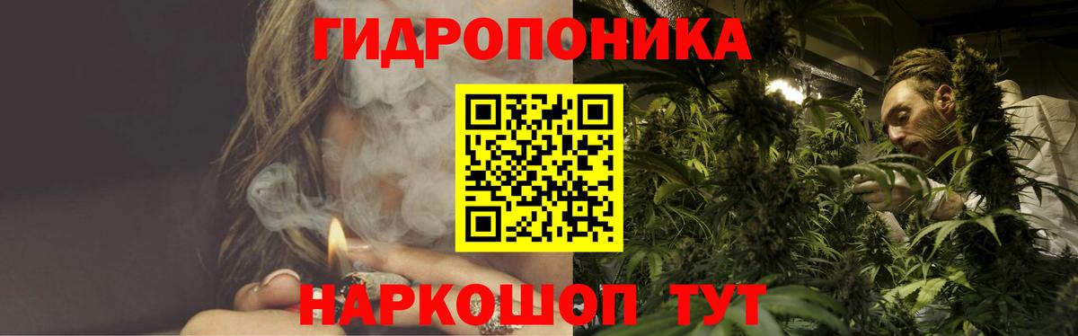 Канабис Amnesia  Конопля гибрид  Вход с VPN  Прохладный  Марихуана MAZAR  Каннабис THC 21% 
